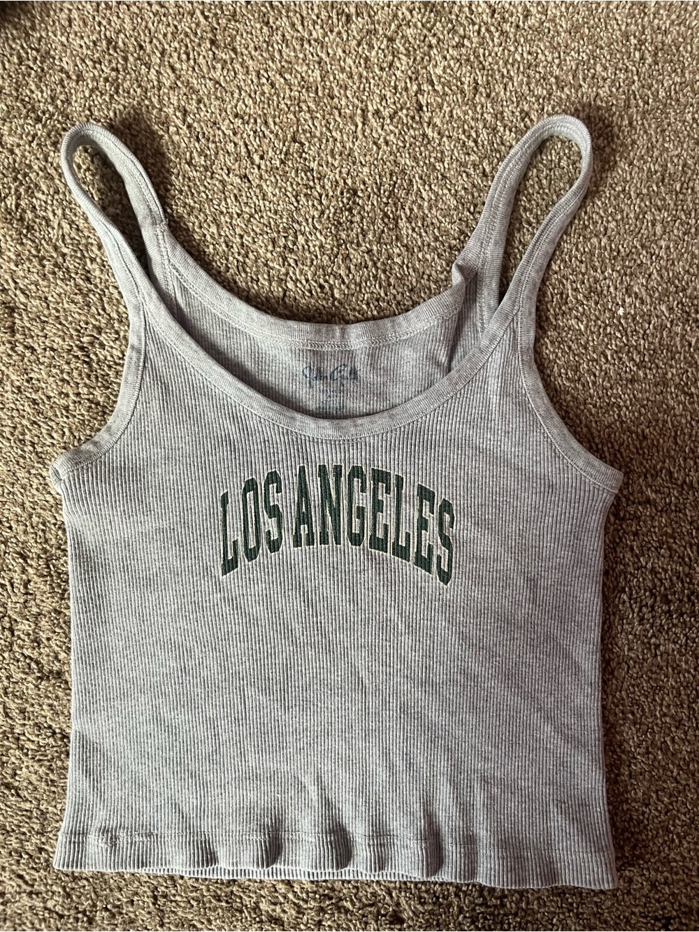 Brandy Melville Gray Ribbed Los Angeles Tank